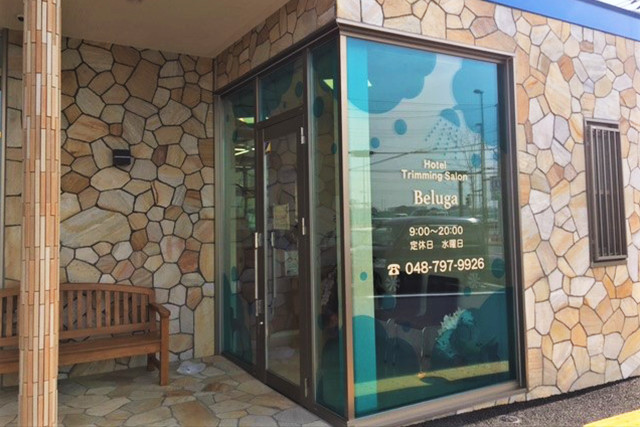 当院でできるコト トリミング 浦和美園にある犬猫専門の動物病院 ドルフィンアニマルホスピタル