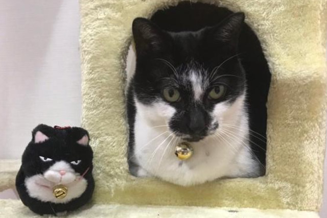 治療環境へのこだわりイメージ写真2