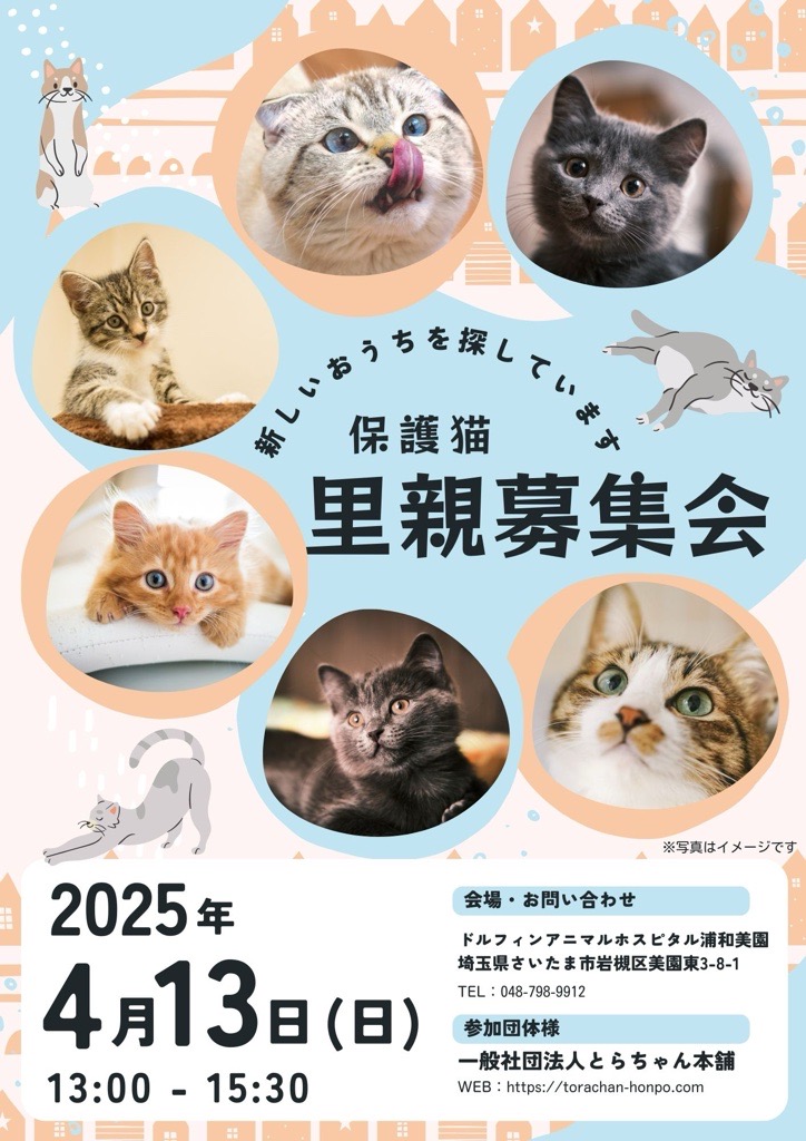 ドルフィン譲渡会のお知らせの画像