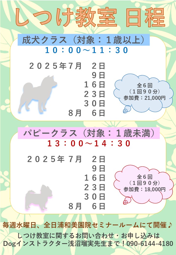 【しつけ教室】次回日程のご案内の画像