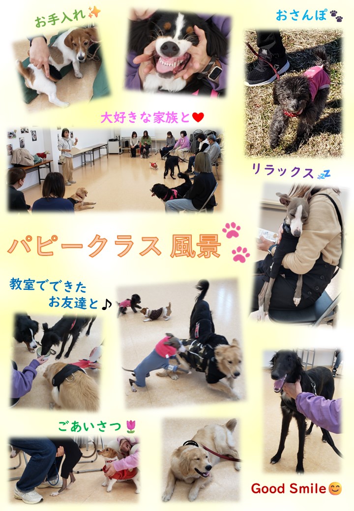 【しつけ教室】次回日程のご案内の画像