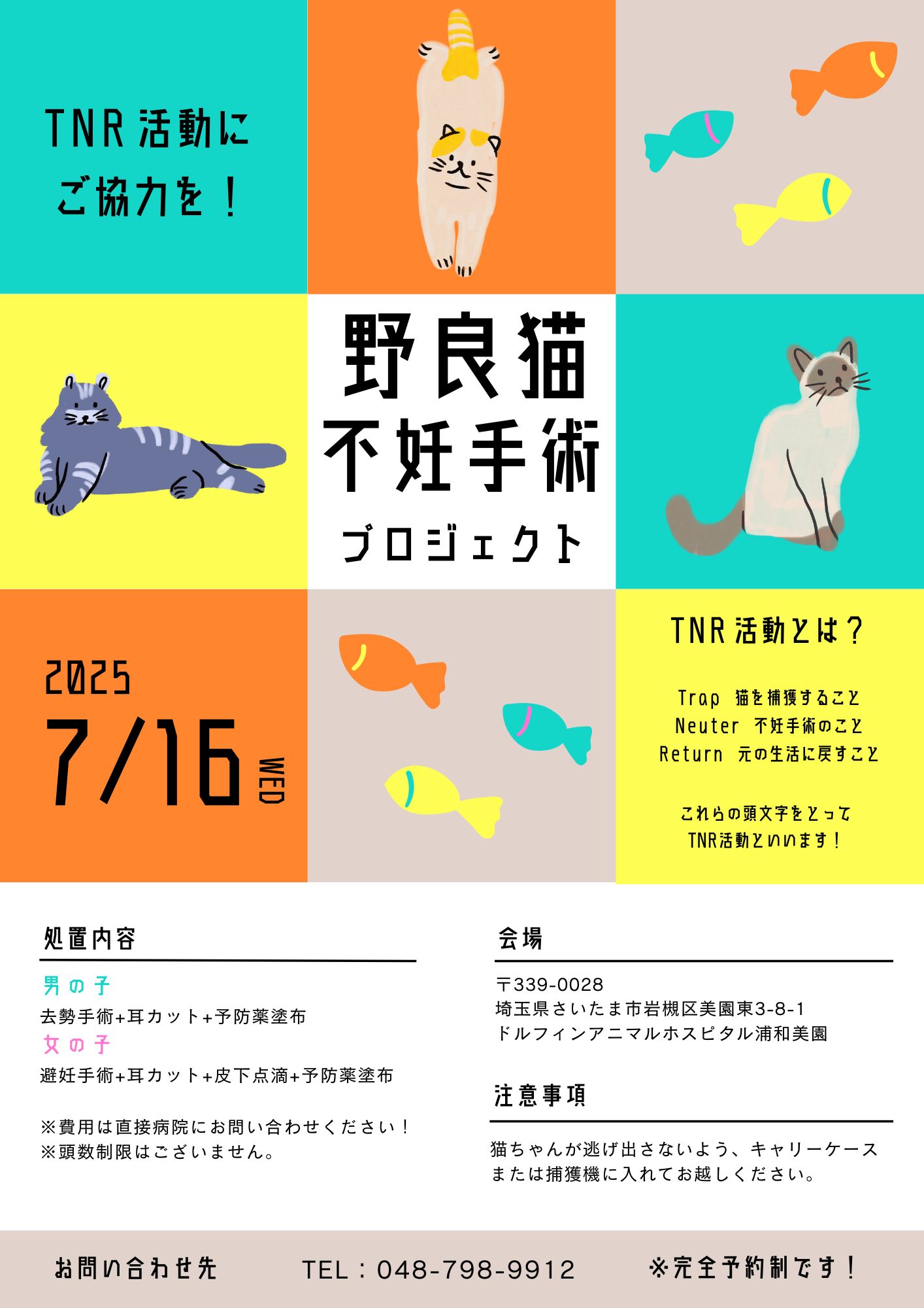 野良猫ちゃんの不妊手術にご協力をお願いします🐱の画像