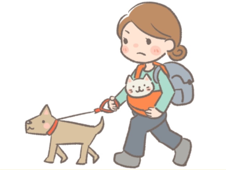 災害に向けて今できることの画像