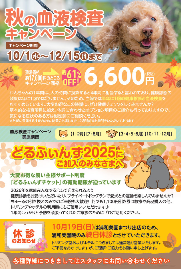 【わんちゃん限定】血液検査キャンペーンのご案内の画像