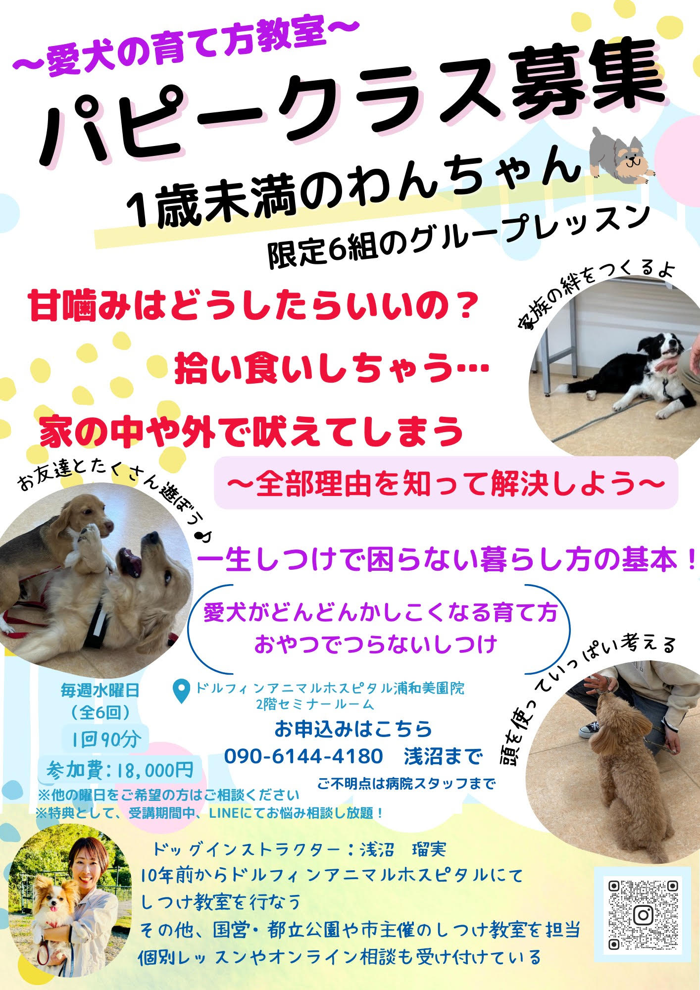 【しつけ教室】次回日程のご案内の画像