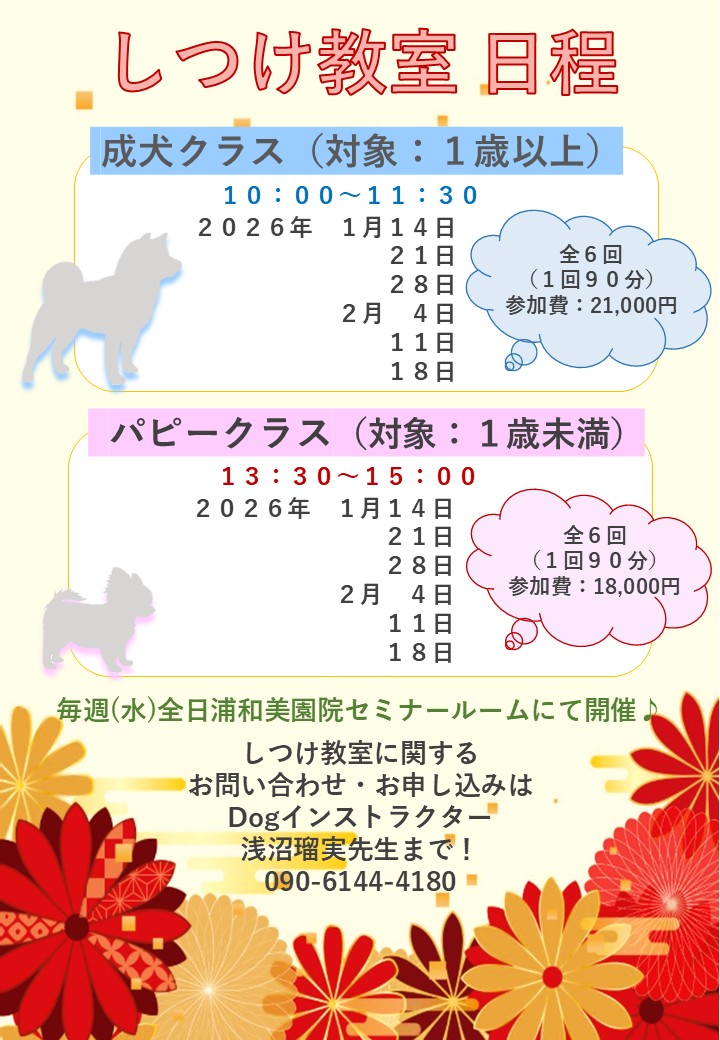 【しつけ教室】次回日程のご案内の画像
