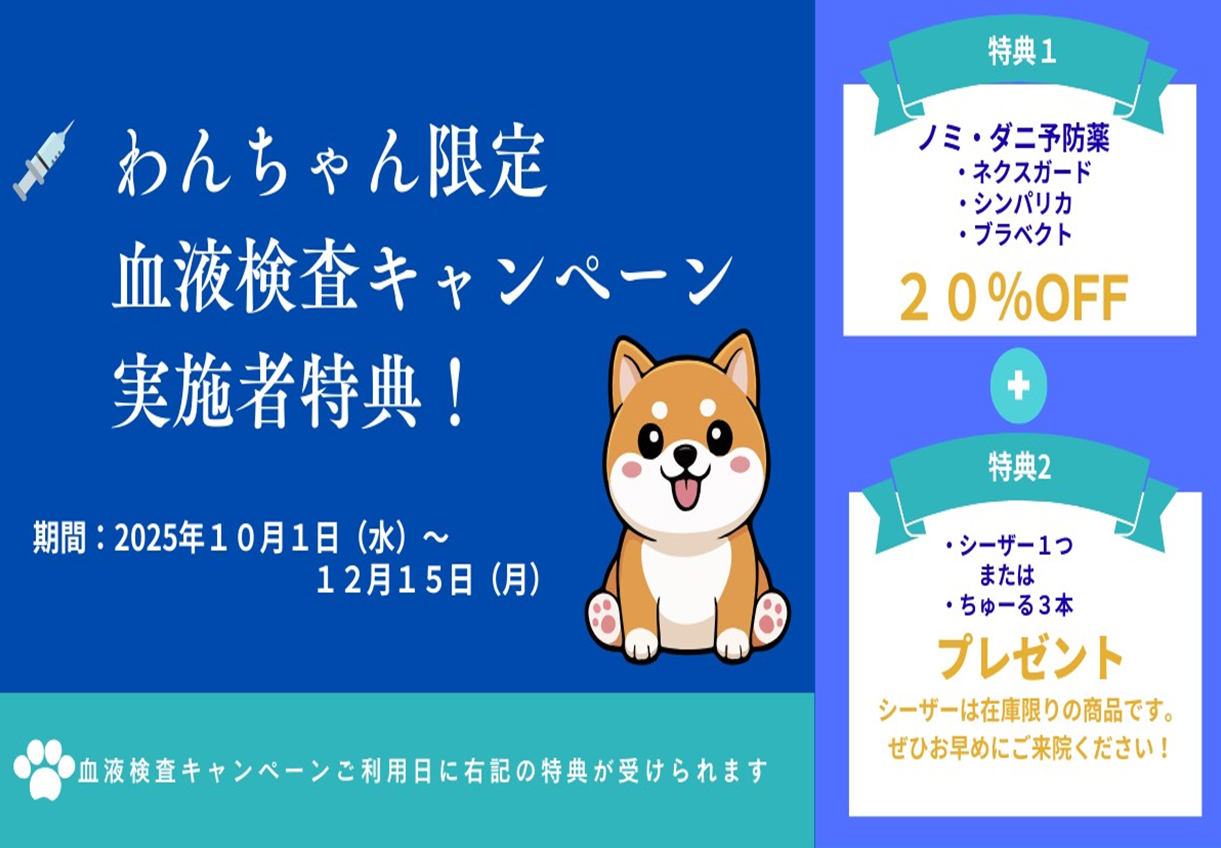 【わんちゃん限定】血液検査キャンペーンのご案内の画像