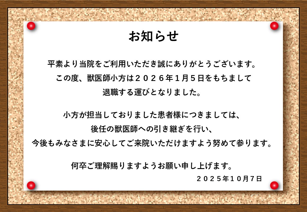 獣医師 退職のお知らせの画像
