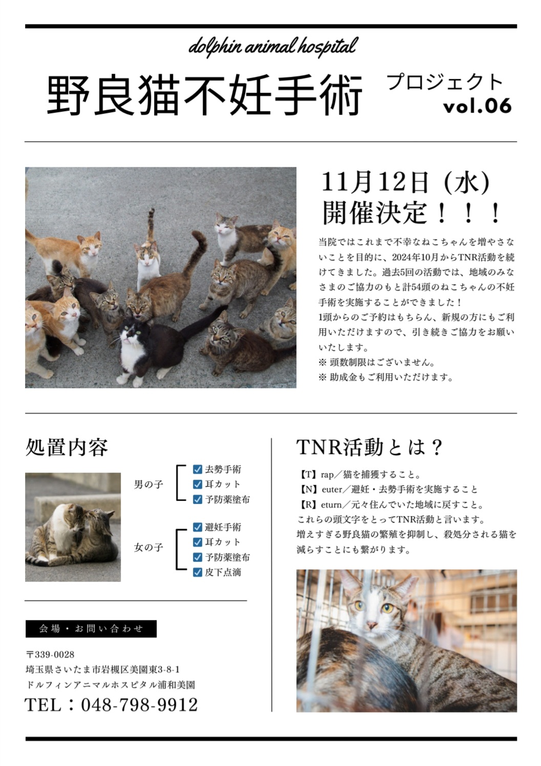 野良猫ちゃんの不妊手術にご協力をお願いします🐱｜最新のお知らせ