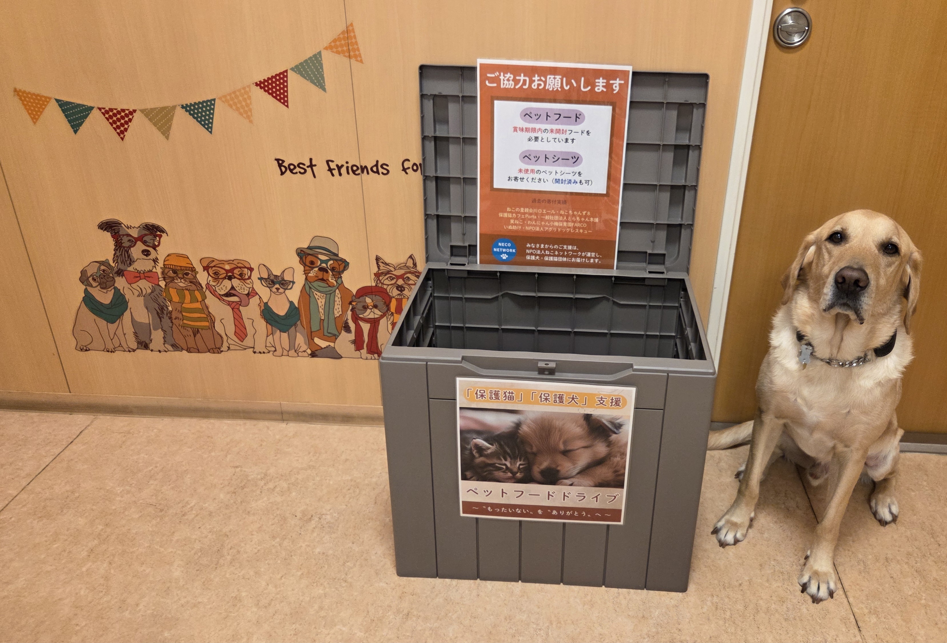 ペットフードドライブBOXを設置しました🐶🐱の画像