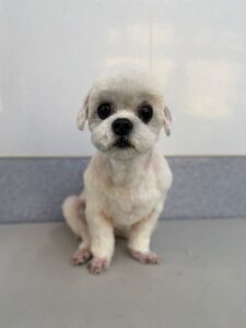 12月7日のわんこたちの写真