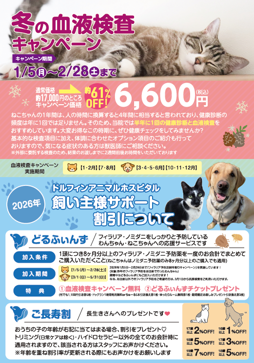 猫カル様　ご確認用 ねこちゃん限定】血液検査キャンペーンのご案内｜最新のお知らせ｜東浦