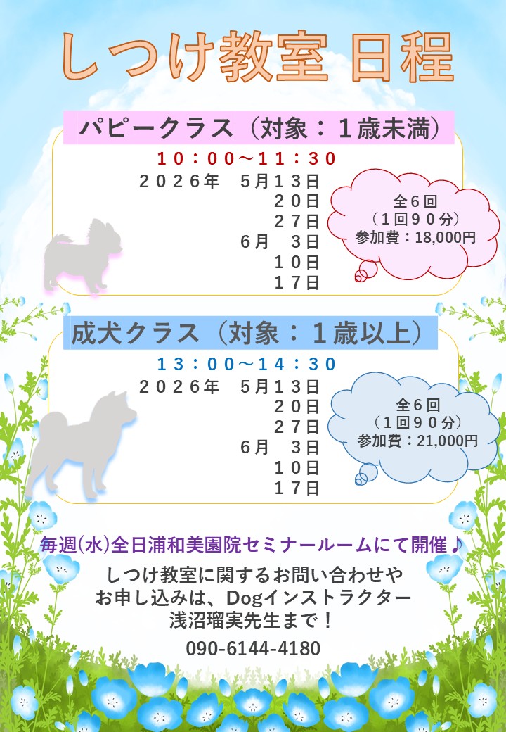 【しつけ教室】次回日程のご案内の画像