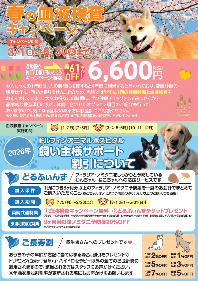 【わんちゃん限定】春の予防・血液検査キャンペーンのご案内の画像
